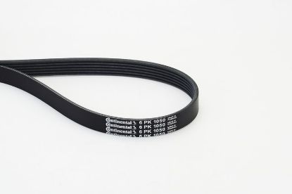 V-Ribbed Belt VAG - 03G 903 137B
