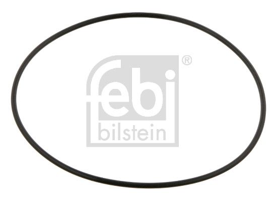 Seal Ring, wheel hub DAF 1692 506