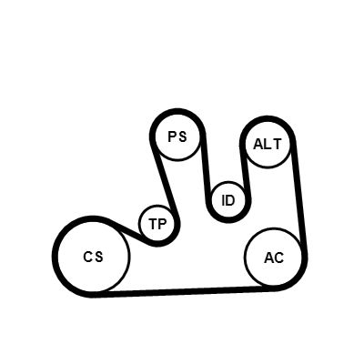 Water Pump + V-Ribbed Belt Kit