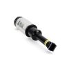 Air Suspension Strut Range Rover SPORT 05-14 esi RNB501580