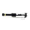 Air Suspension Strut Range Rover SPORT 05-14 esi RNB501580