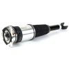 Air Suspension Strut 02-10 Audi A8 (D3) w/Normal Suspension