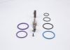 Repair Kit, unit injector