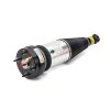 Air Suspension Strut 04-10 Jaguar XJ Series (X350, X358)