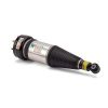 Air Suspension Strut 04-10 Jaguar XJ Series (X350, X358)