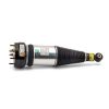 Air Suspension Strut 04-10 Jaguar XJ Series (X350, X358)
