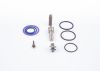 Repair Kit, unit injector