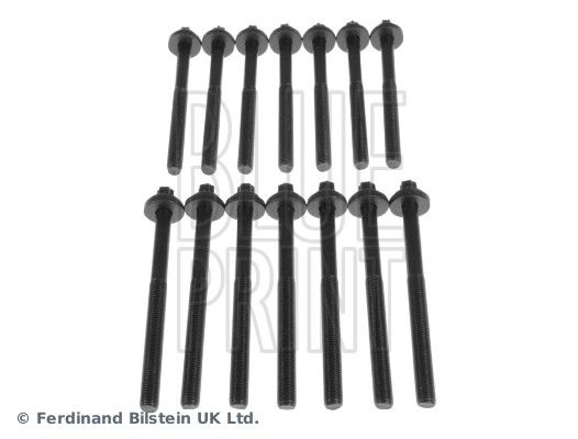 Cylinder Head Bolt Set ROVER LDY 000040
