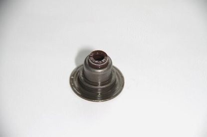 Seal Ring, valve stem Ford