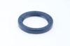 Seal Ring Daf 3103825