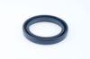 Seal Ring Daf 3103825