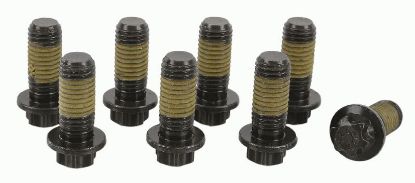 Screw Set, flywheel poldikomplekt