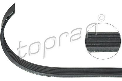 V-Ribbed Belt Mercedes/Smart, BMW/Mini