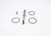 Repair Kit, unit injector