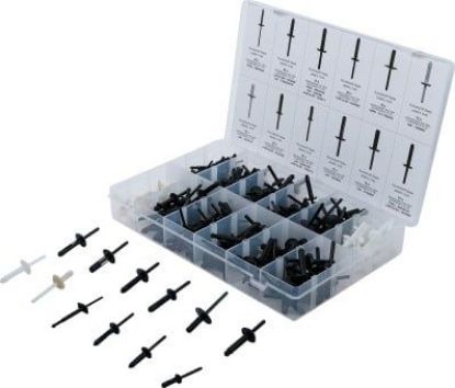 Assortment, blind rivets 235-piece Plastic Rivet Assortment for GM, BMW, Ch