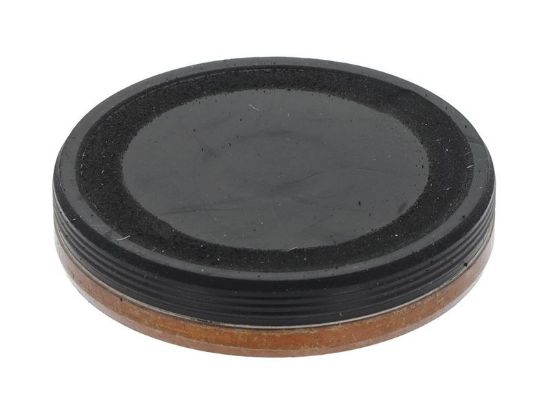 Plug, rocker arm shaft mounting bore