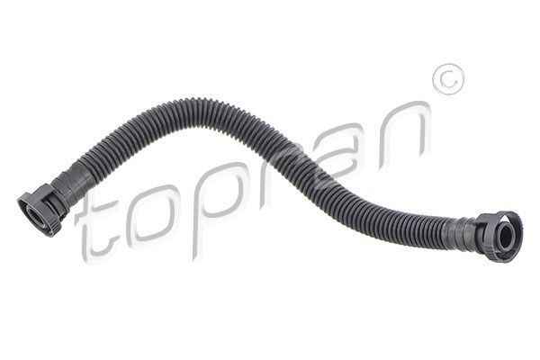 Hose, cylinder head cover ventilation VAG