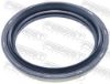 Seal Ring, wheel hub NISSAN 40232-50Y00
