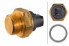 Temperature Switch, radiator fan