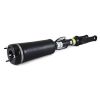Air Suspension Strut MB R-Class 06-13 esi 2513203013