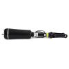Air Suspension Strut MB R-Class 06-13 esi 2513203013