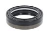 Shaft Seal, differential 45x60x16/17