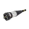 Air Suspension Strut 01-06 Lexus LS-430 4801050130