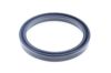 Seal Ring CLAAS 2394060