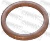 Seal Ring, oil drain plug ALFA ROMEO 10261160, BMW 07119963201, CITROEN 1342