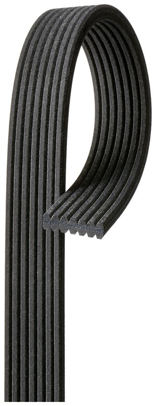 V-Ribbed Belt BMW - 11 28 7 808 106