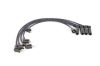 Ignition Cable Kit Hyundai