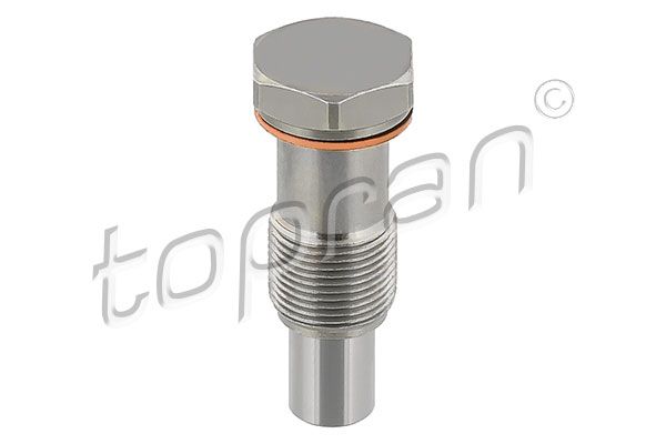 Tensioner, timing chain VAG, Ford, Porsche