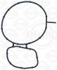 Gasket, water pump SCANI Gasket water pump