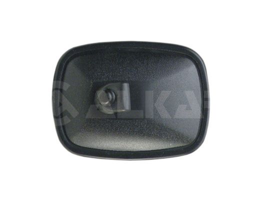 Exterior Mirror, driver cab