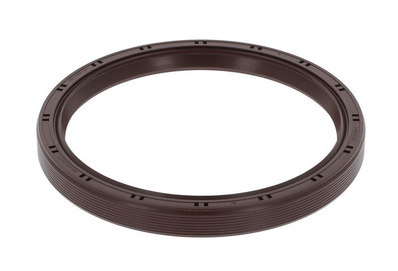 Shaft Seal, crankshaft CASE 1966693C1