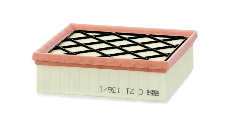 Air Filter GENERAL MOTORS - 13356945