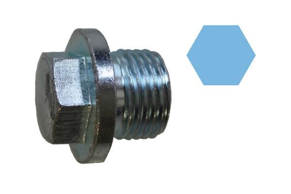Screw Plug, oil sump VW