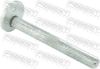 Camber Correction Screw NISSAN 54580-1LA1B