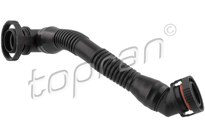 Hose, cylinder head cover ventilation VAG