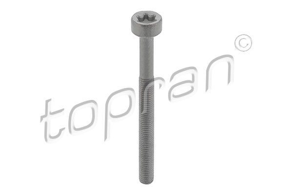 Screw, Injection nozzle holder Mercedes/Smart 0019902607