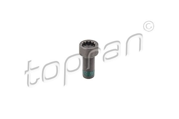 Flywheel Bolt VAG - N   906 650 01