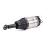 Air Suspension Strut Land Rover Range Rover Sport 10-14