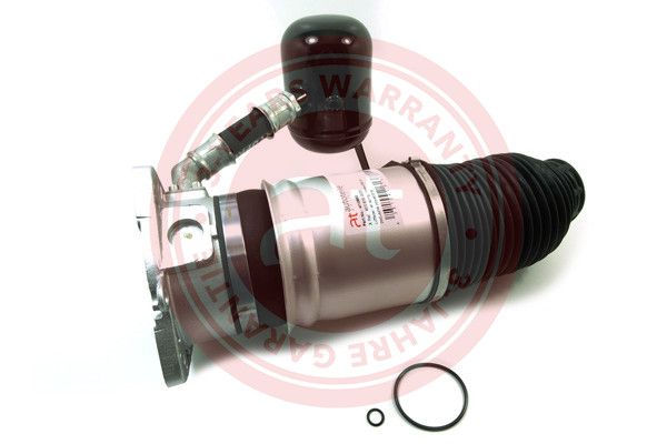 Air Spring, suspension VAG A8 (2002 - 2010)