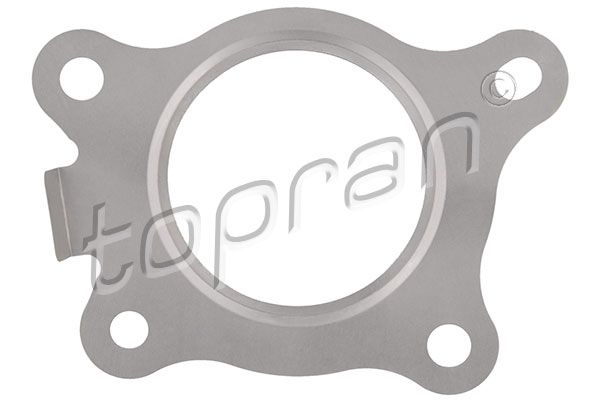Gasket, charger Opel, Renault/Dacia, General Motors