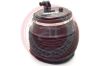 Air Spring, suspension Toyota 48080-60010
