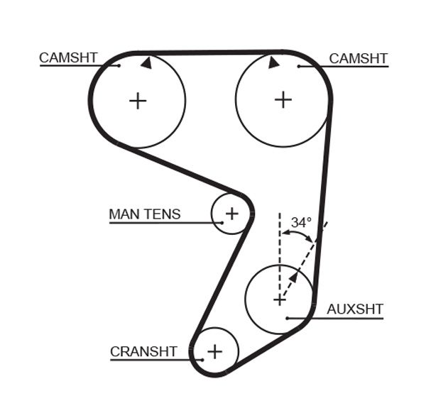 Timing Belt Fiat Regata - ( L18534 )
