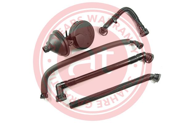 Repair Kit, crankcase ventilation BMW - 11 61 1 432 558 S1