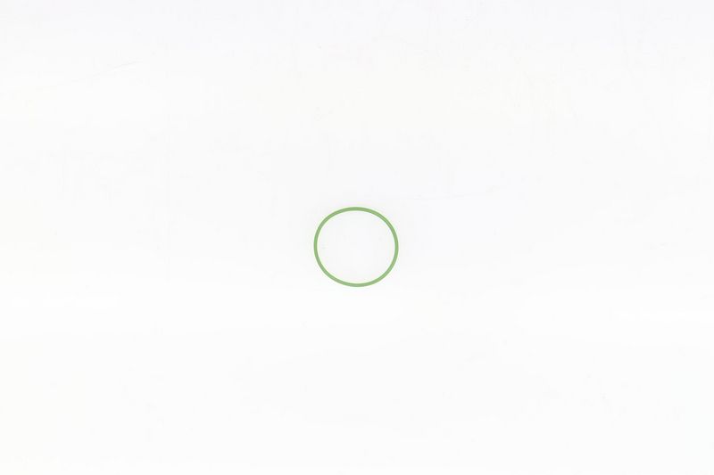 Gasket, intake manifold Fiat