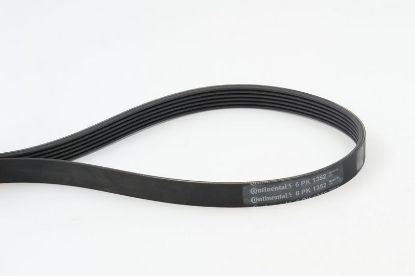 V-Ribbed Belt MERCEDES-BENZ - 012 997 55 92
