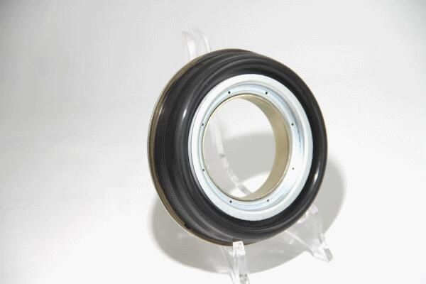 Shaft Seal, wheel hub 49,5X100/105X25 NBR